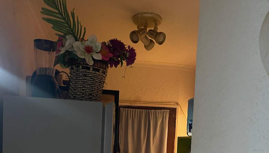 Lisa's room