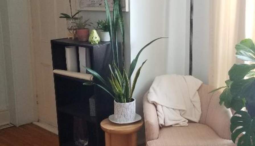 Lynda's room