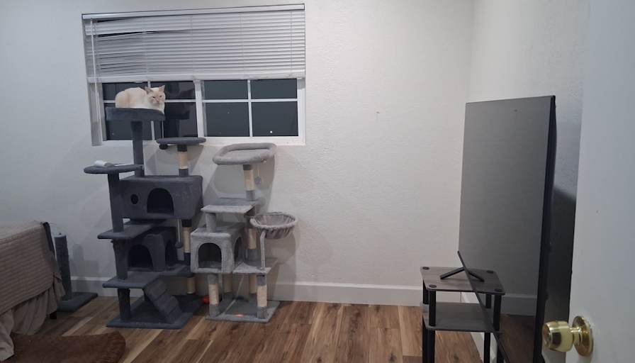 Sandra's room