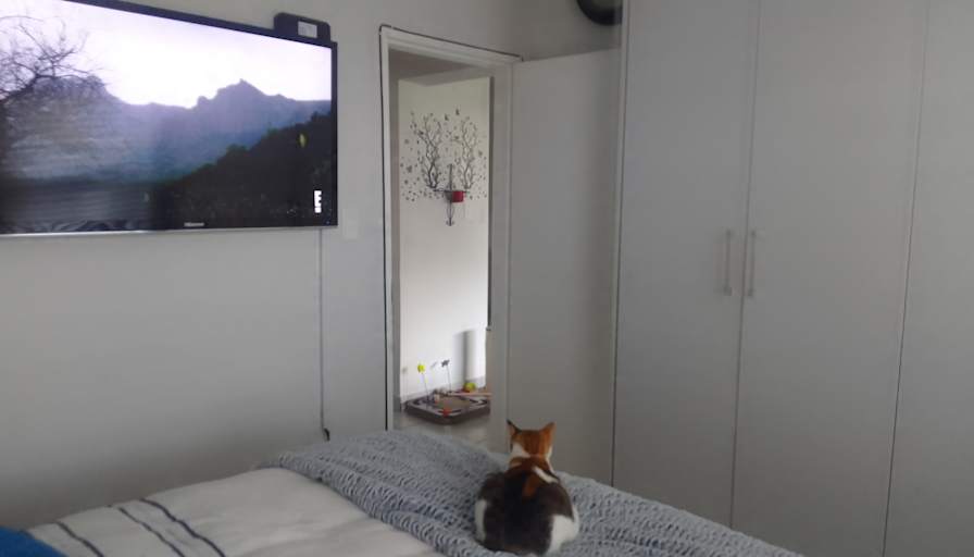 Debbie Mocke's room