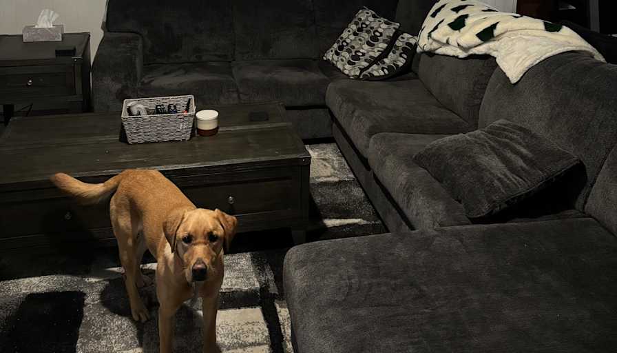 Travis's room