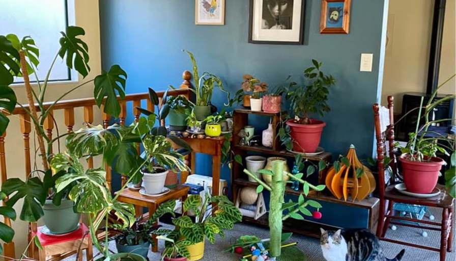 Dallas's room