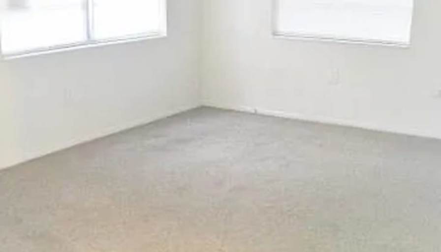 Patrice's room