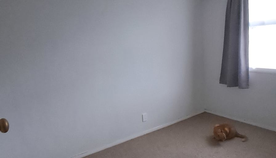 Peter White's room