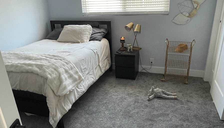 Alexa's room