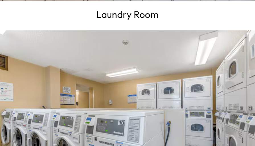 Waheb's room