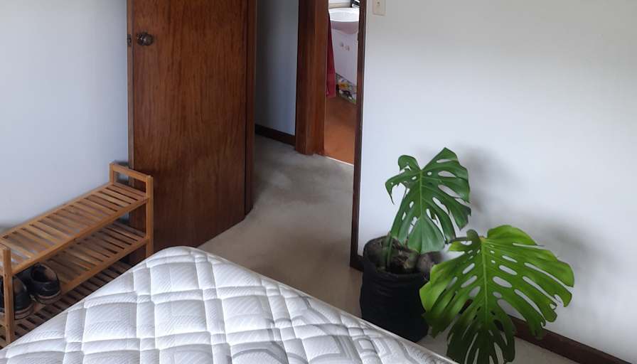 Damo's room