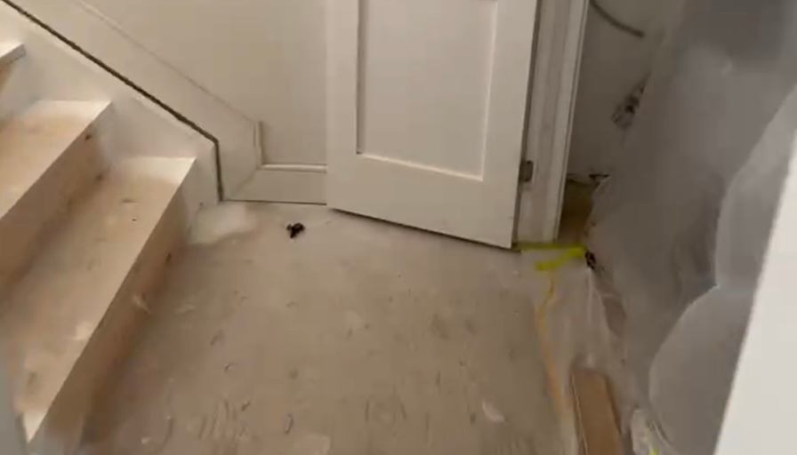 Ellesse Chen's room