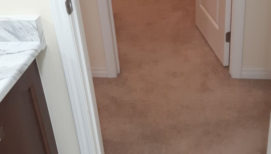 Shaheen's room
