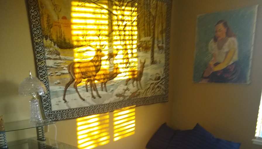 Gayle Wayne's room