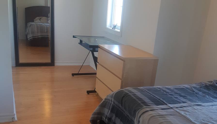 Lily's room