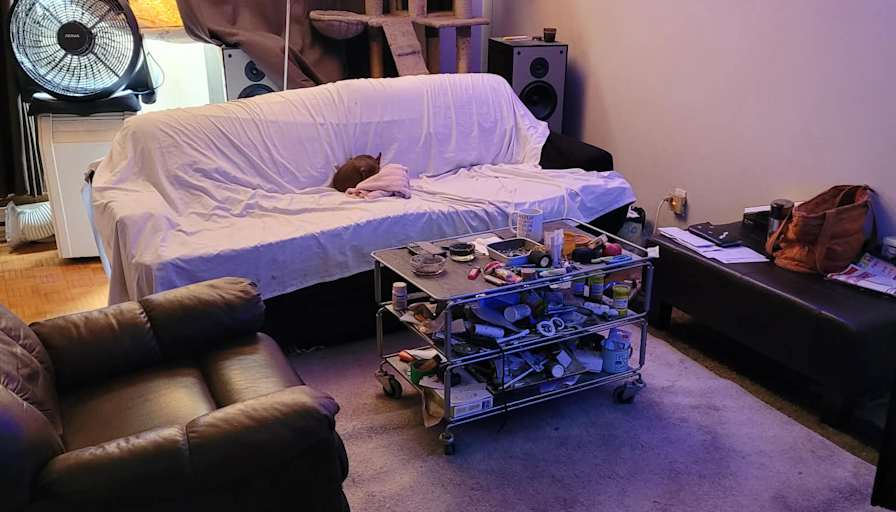 Elyssia's room