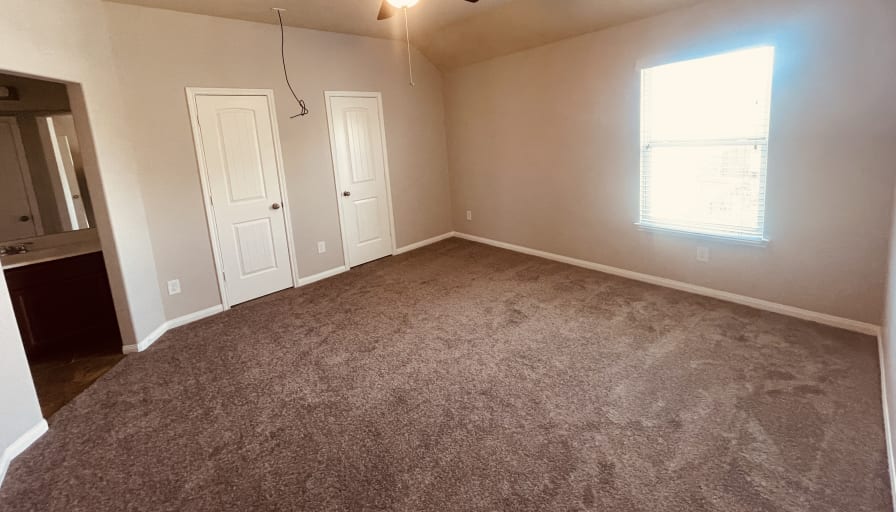 Shawn's room