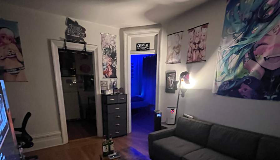 anderson almanzar's room