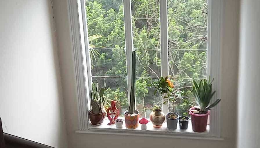 Karina's room