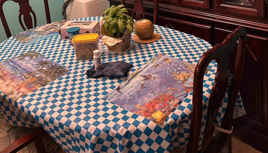 Carol Hillman's room