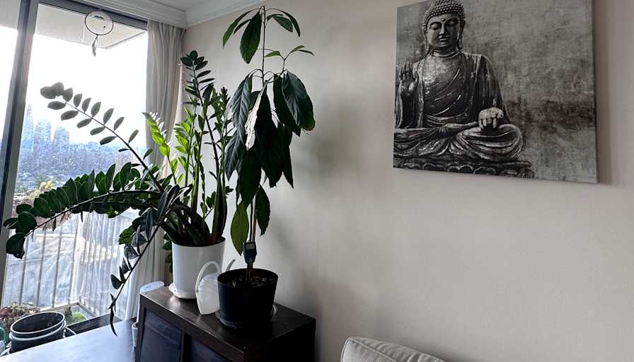Olga Boiar's room