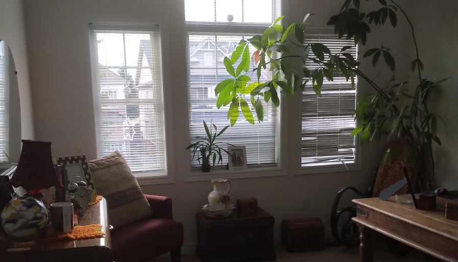 Anna's room