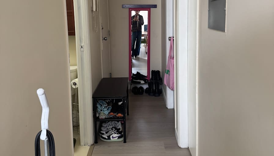 ROHAM ALAVI's room