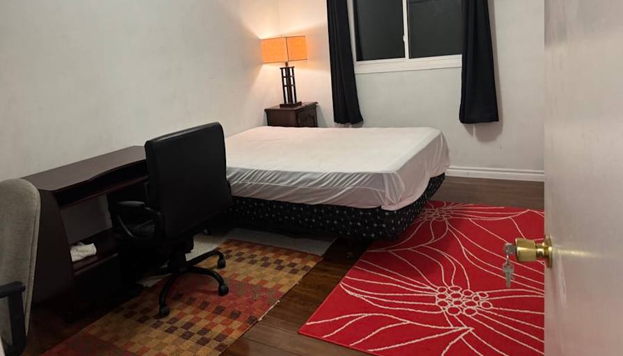 Saru's room
