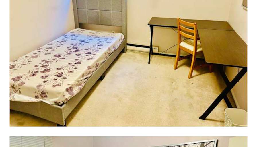 Sani's room