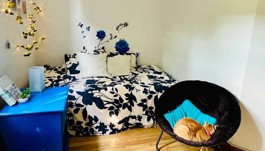 Sonia's room