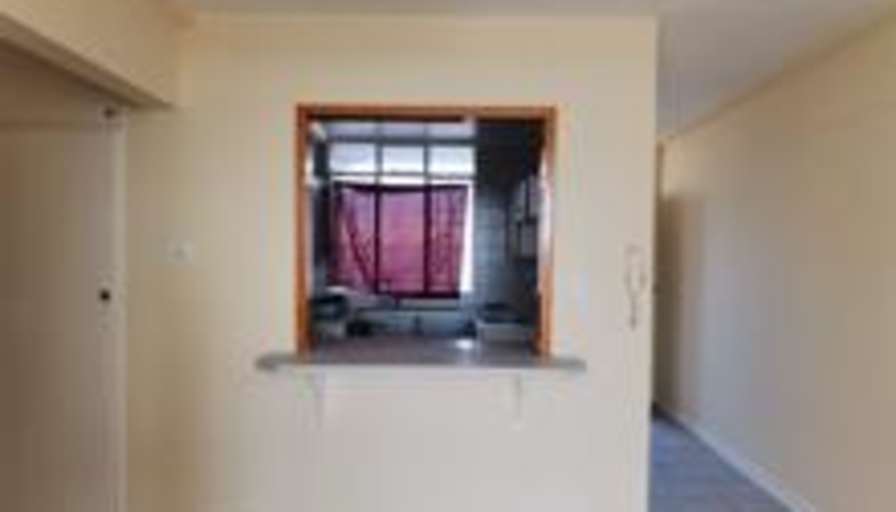 Shammy's room