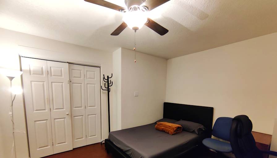 Sophia's room