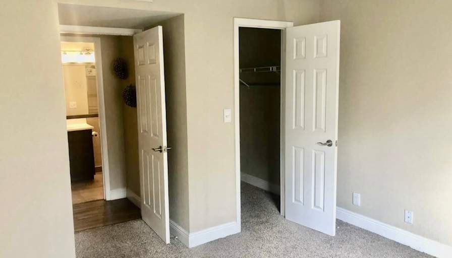 Bruno's room