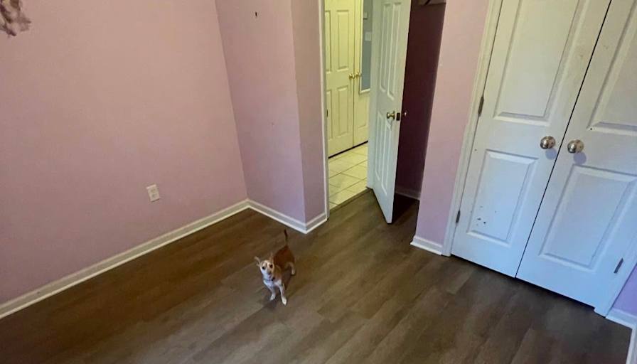 Perla's room