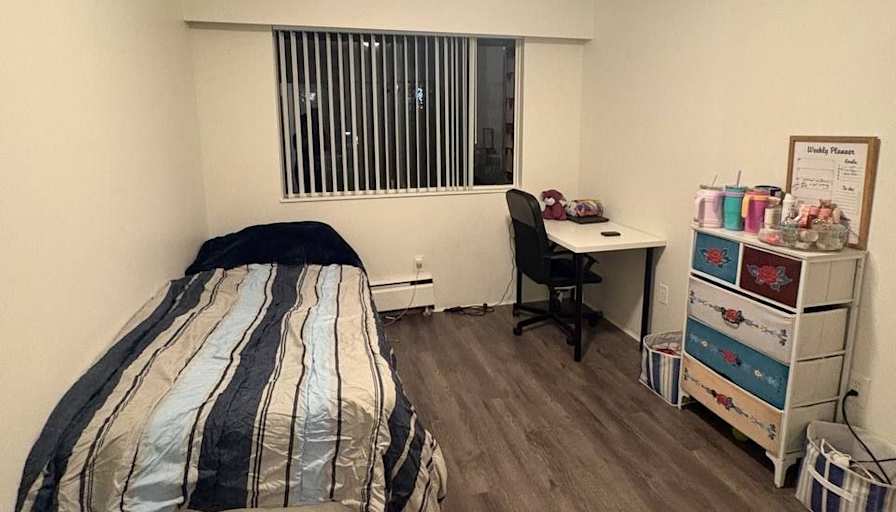 Sedi's room