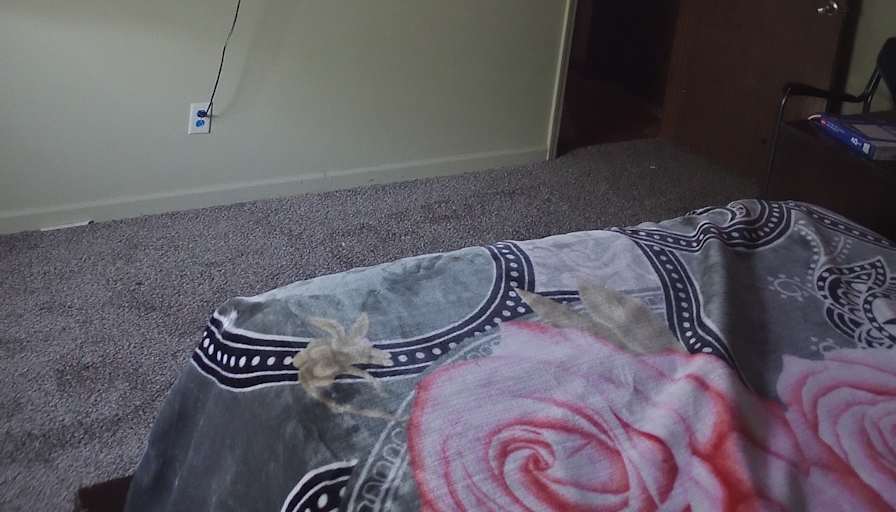 o's room