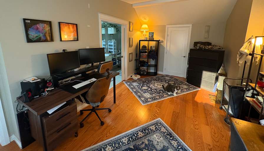 Daniel's room