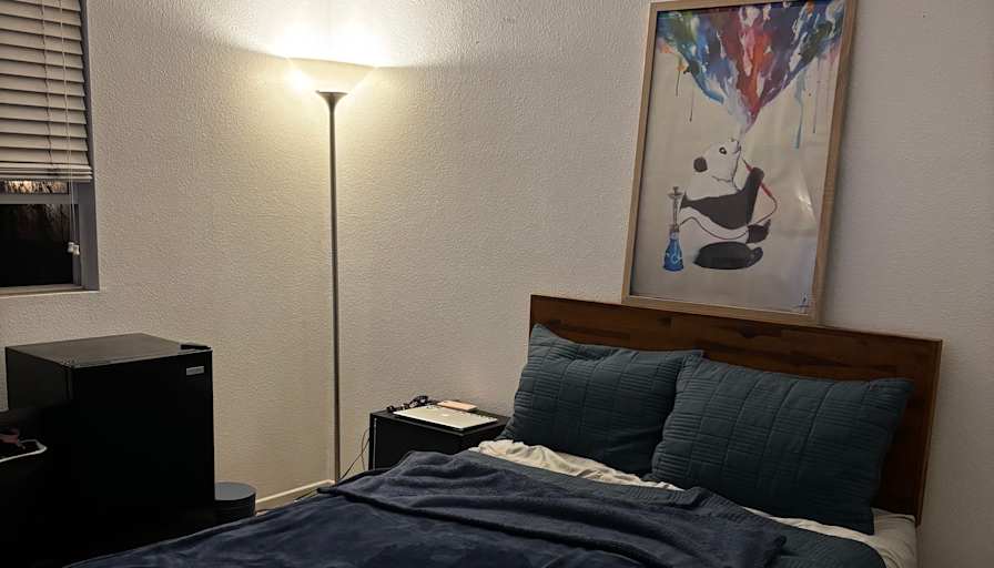 Rodrigo otero's room
