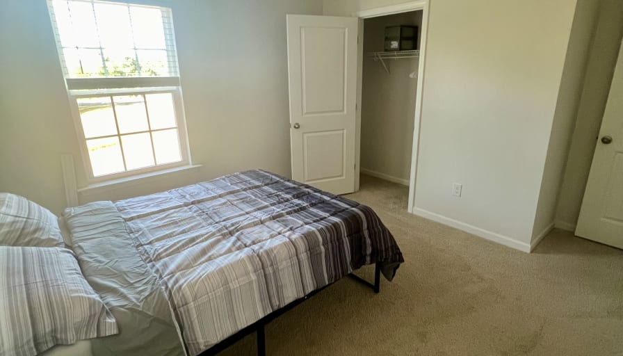 Taz's room