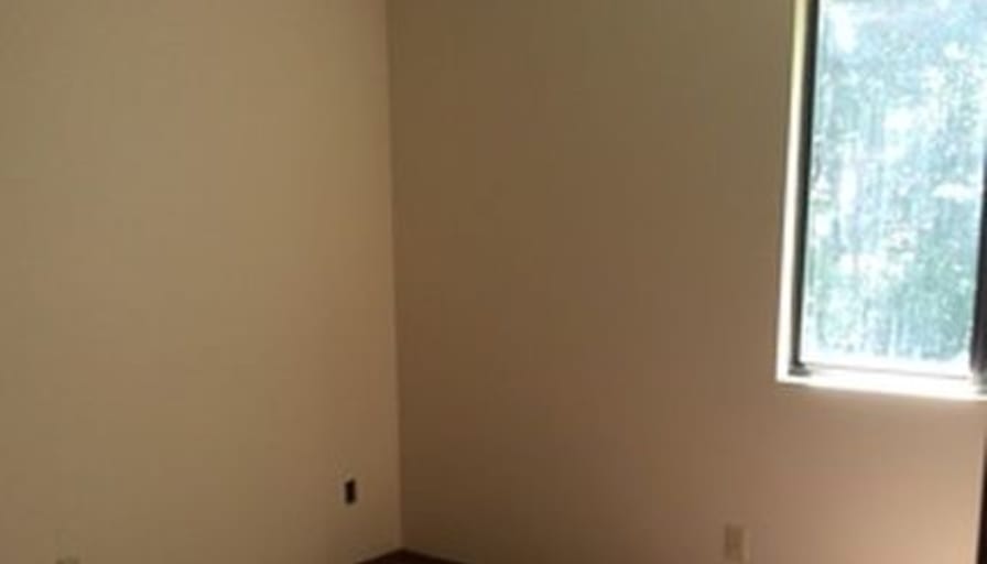 Shelby Norcross's room