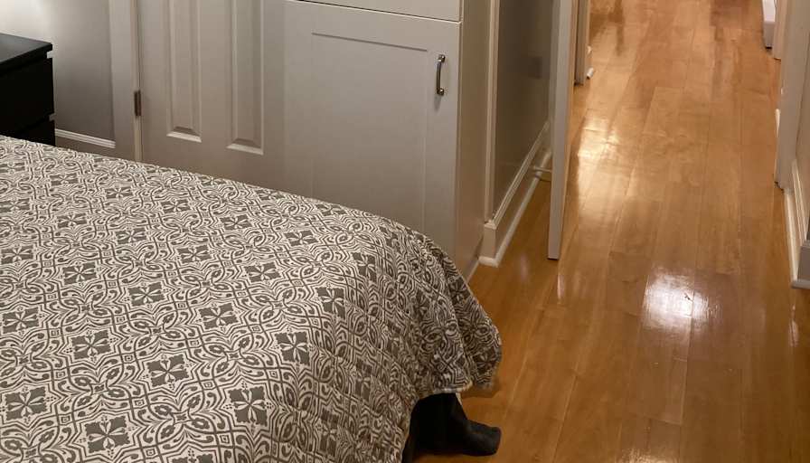 Emily's room