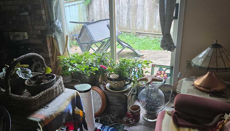 DIANNE BELLIVEAU's room