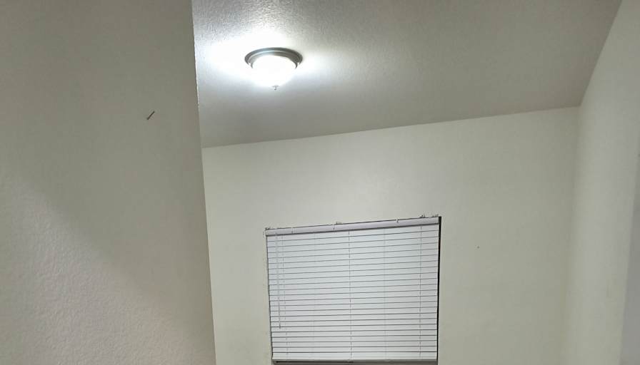 RoRo's room