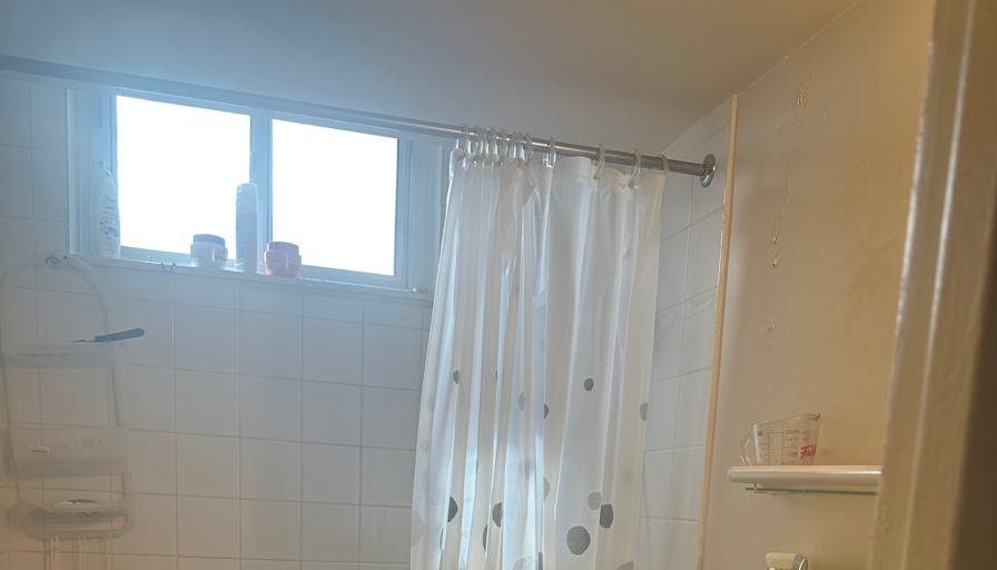 Rositsa's room