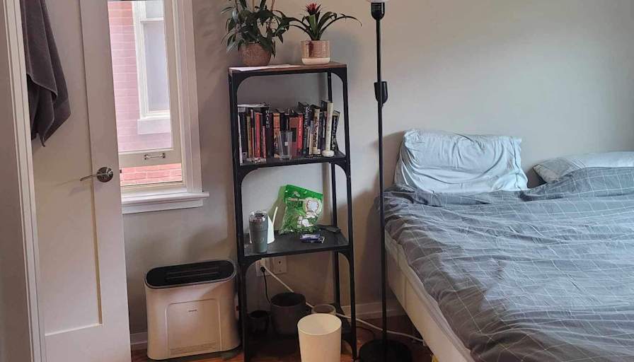 Daniel's room