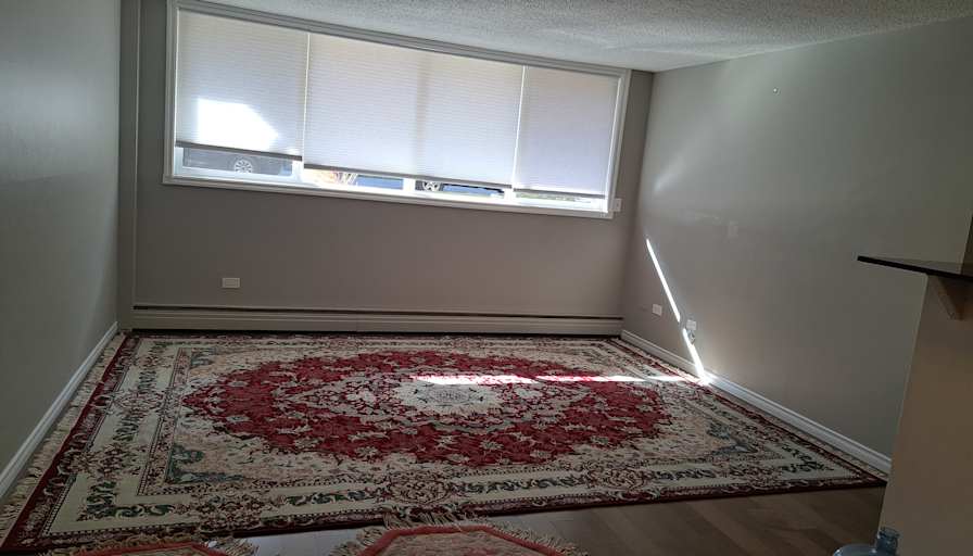 Orhan's room