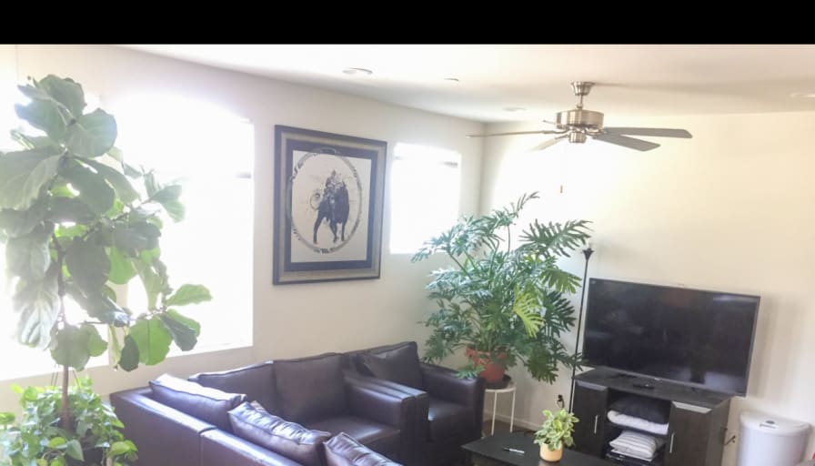 Shrishti's room