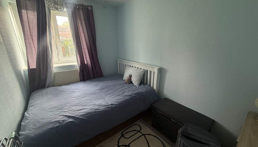 Zehra Simge Cebi's room