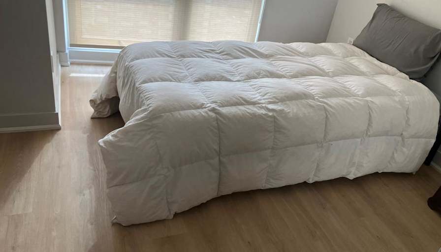 Sarah's room