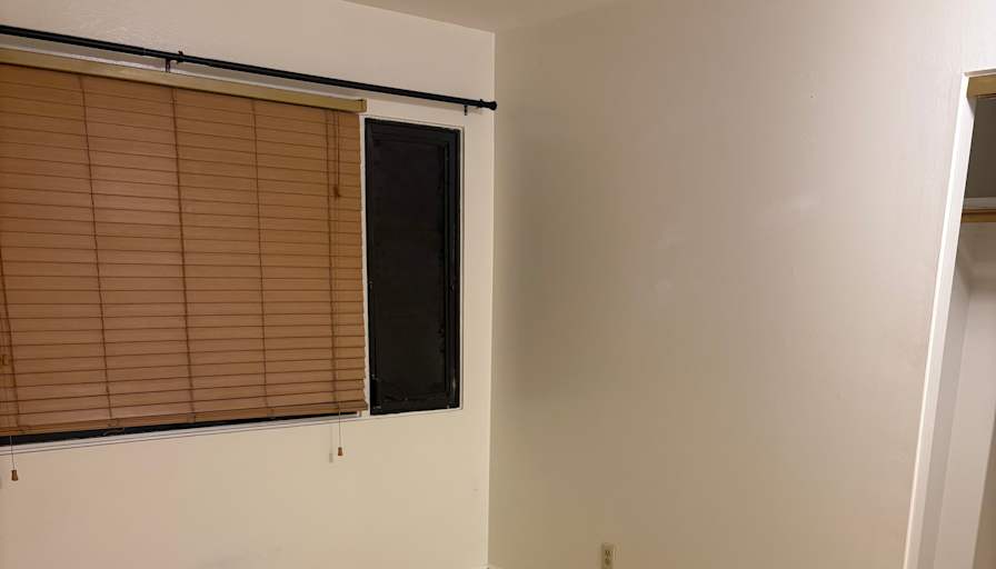 Jana's room