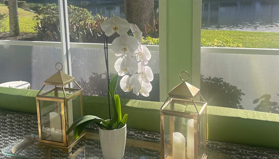 SJean's room