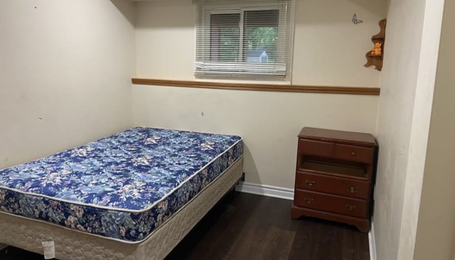 Saru's room