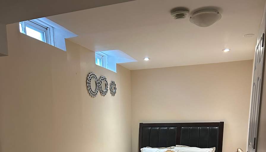 Fern's room