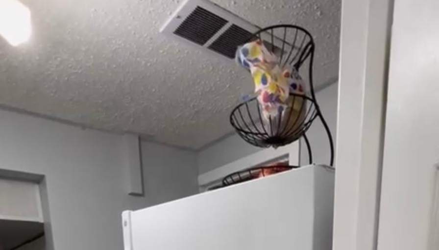 Bukola's room